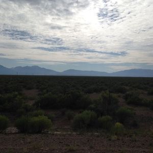 Meet your Posher, Rhonda